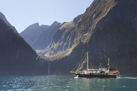 Nature or Scenic Cruise?